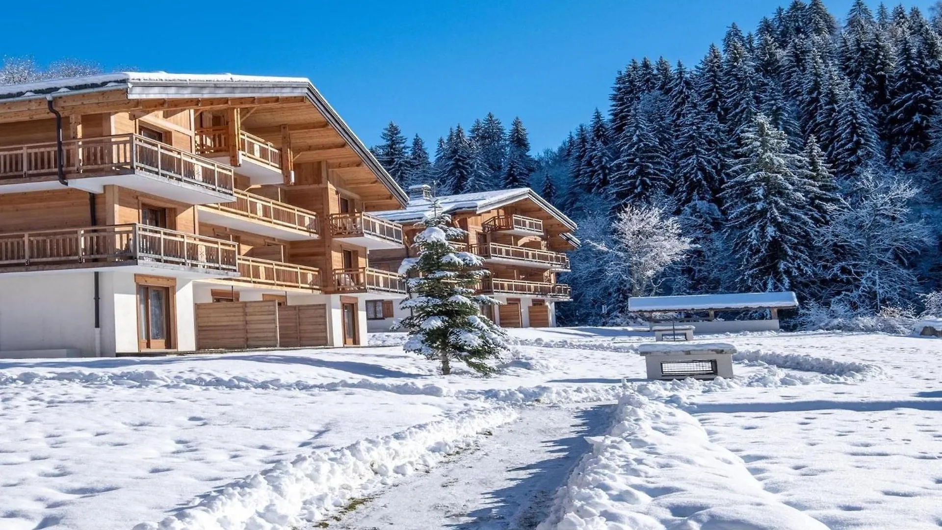 R Sidence La Belle Aux Bois Meg Ve Apartment Megeve